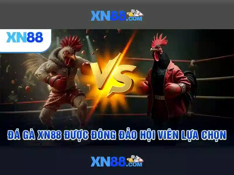 App XN88